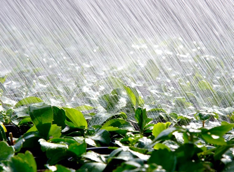 Imagem da notícia 100 mm é muita chuva e Brasil ainda terá mais temporais neste verão