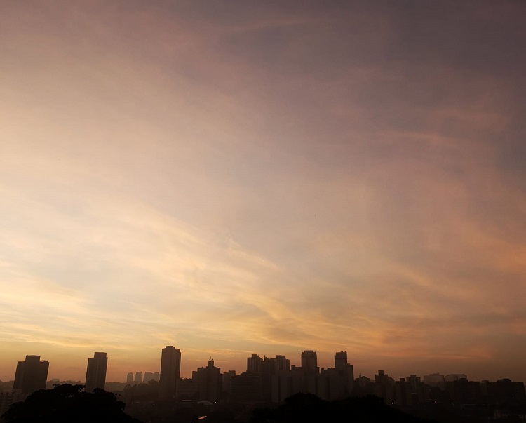 Imagem São Paulo e seu tempo maluco