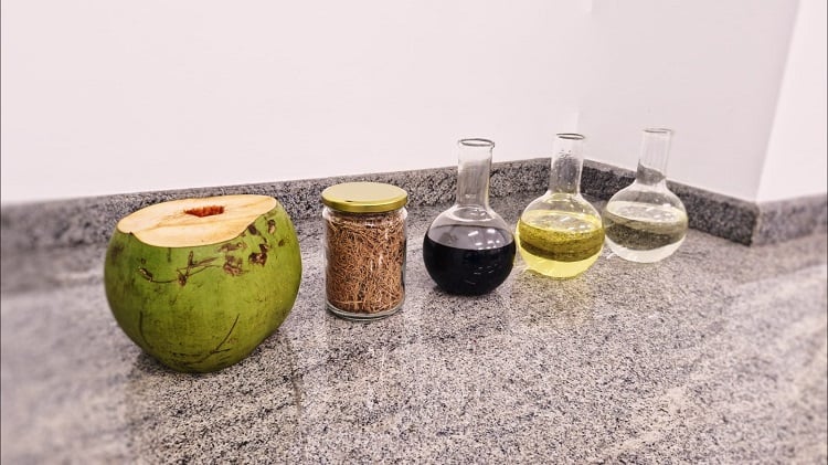 Imagem Biocombustível de coco impulsiona a transição energética no Brasil