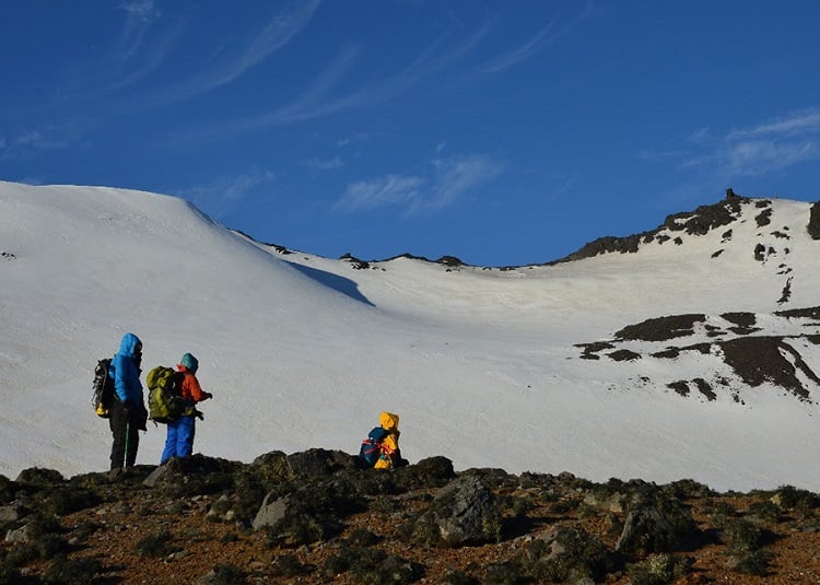 Imagem Cientistas descobrem novo fungo na Antártica