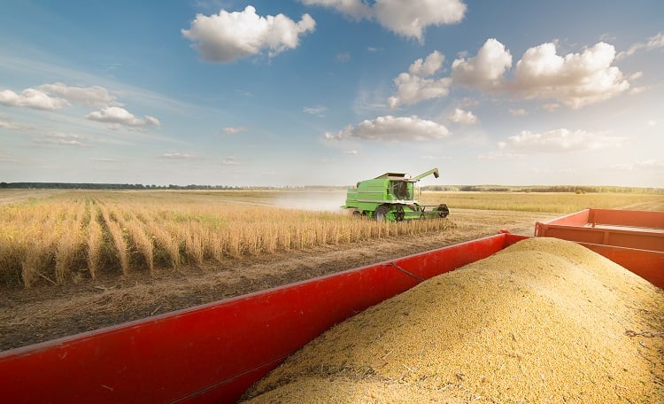 Imagem da notícia Produtores reportam quebra, e Deral aponta colheita de soja menor no Paraná