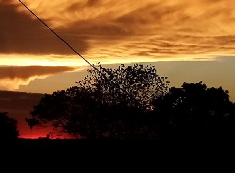 Imagem Sul do Brasil terá chuva neste domingo