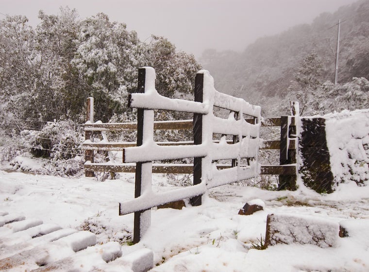 Imagem da notícia Brasil poderá ter neve pela primeira vez este ano