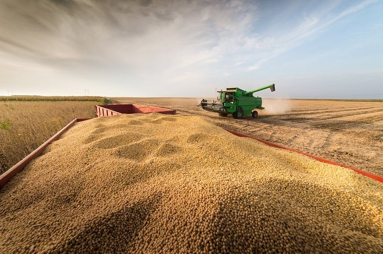 Imagem Você sabia que o Agro está em tudo o que você usa?