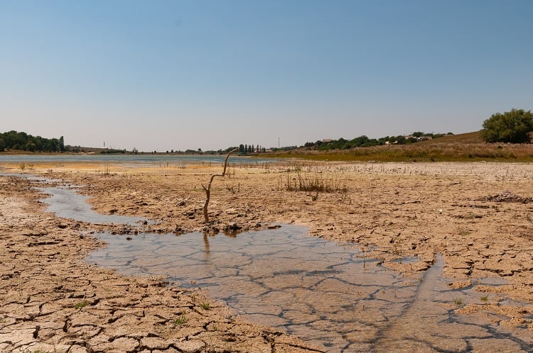 Imagem Seca atinge um quarto da Bacia Amazônica