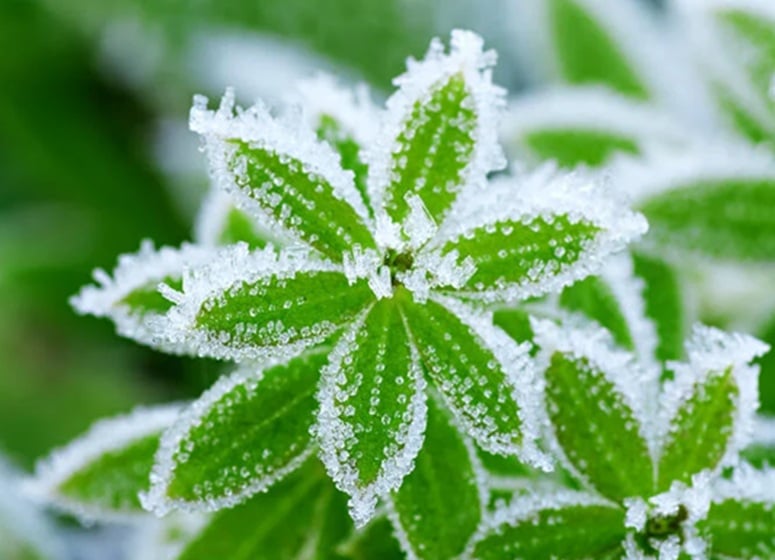 Imagem da notícia Frio aumenta e Sul do Brasil tem geada nos próximos dias