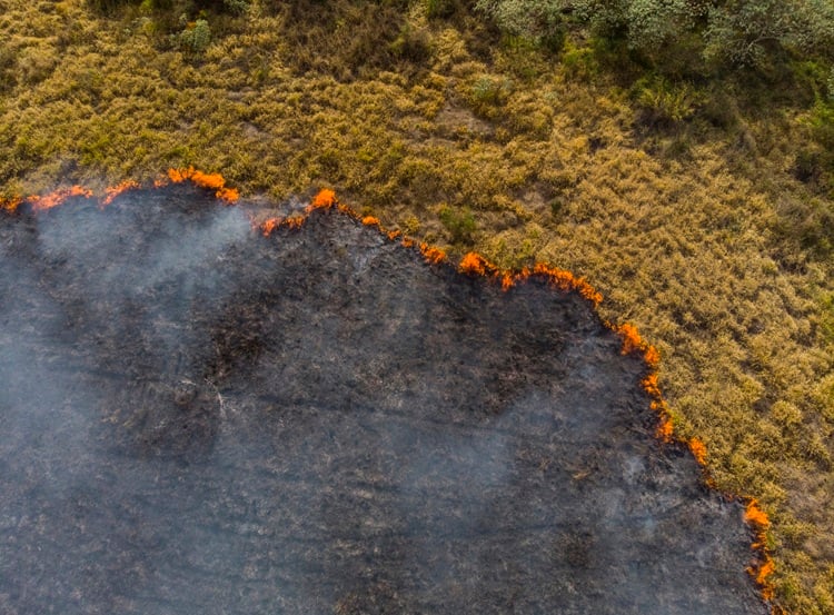 Imagem da notícia Mato Grosso lidera o ranking como estado com mais números de queimadas em junho