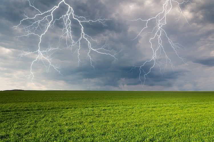 Imagem Mudança climática acelera perdas na produção de alimentos