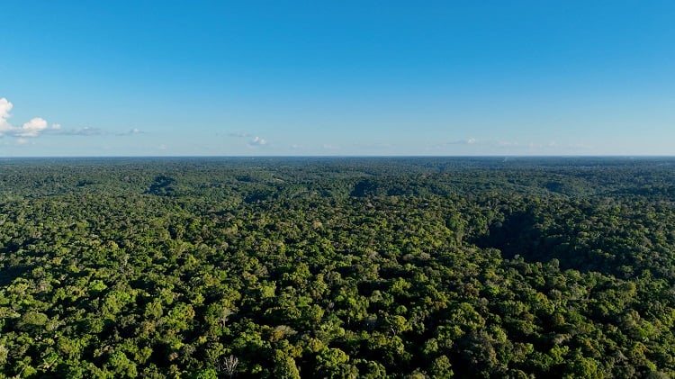 Imagem da notícia Mudanças climáticas: como a falta de adaptação pode aumentar os riscos em cidades