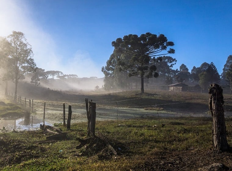 Imagem da notícia Quarta onda de frio de 2025 avança sobre o Brasil no início de julho