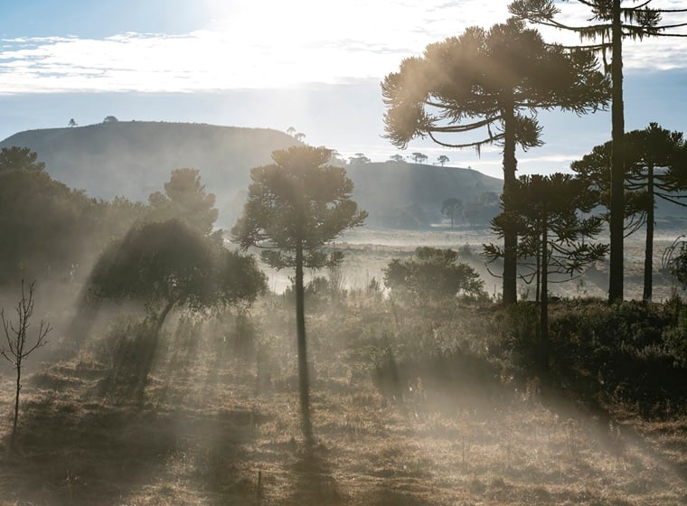 Imagem Com -6,5°C, serra catarinense bate recorde de frio no Brasil para 2025