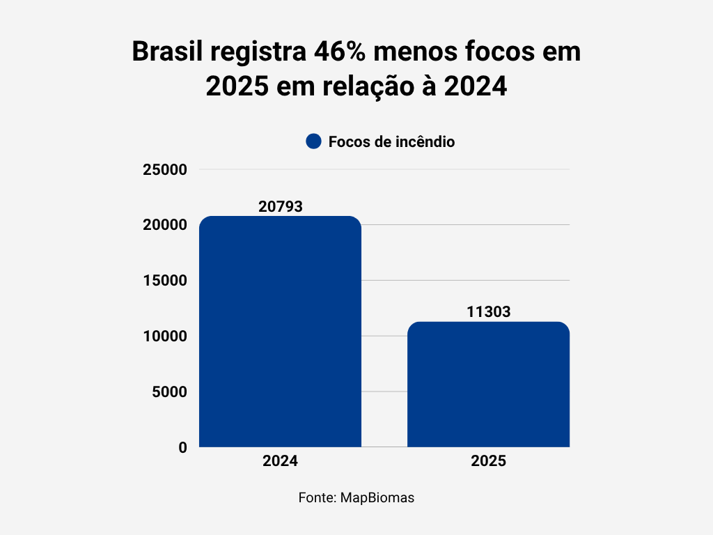 11.303 focos de incêndio registrados até 19 de maio de 2025, contra 20.793 no mesmo período de 2024 – redução de 46%