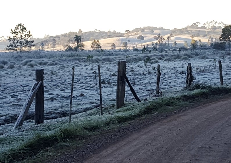 Imagem Frio abaixo de 0°C nesta quarta-feira no centro-sul do Brasil