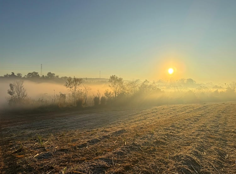 Imagem da notícia Temperatura cai para perto 0 °C na cidade de São Paulo