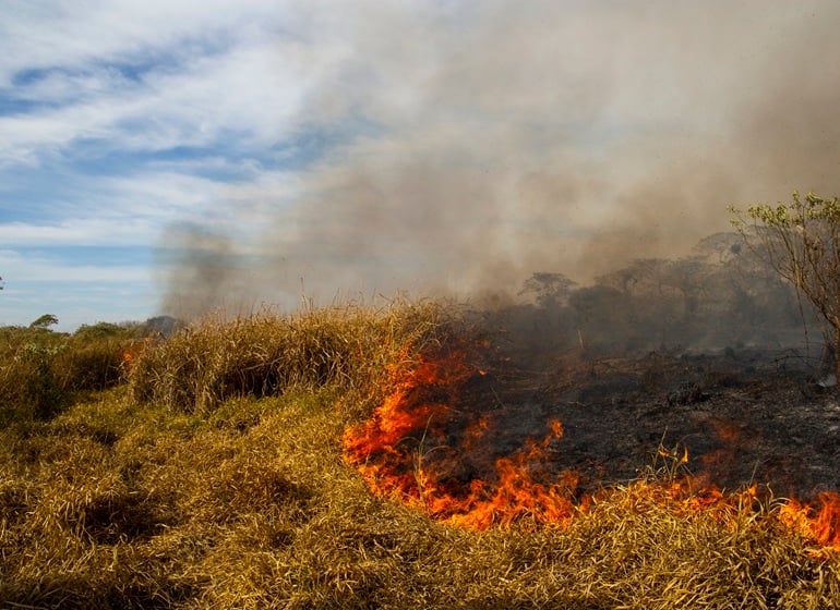 Imagem da notícia Risco de incêndio aumenta em SP esta semana com ar mais seco e quente