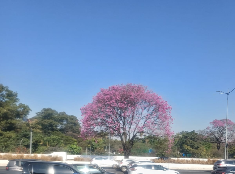 Imagem da notícia São Paulo bate recorde de calor para o inverno pelo terceiro dia consecutivo