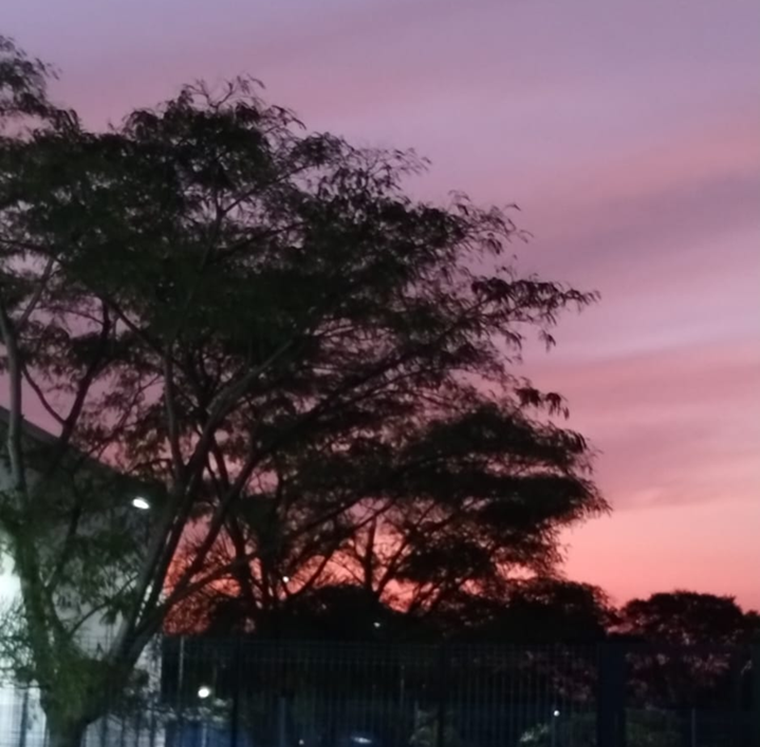 Imagem da notícia Calor em São Paulo nesta sexta pode ser o maior em 5 meses