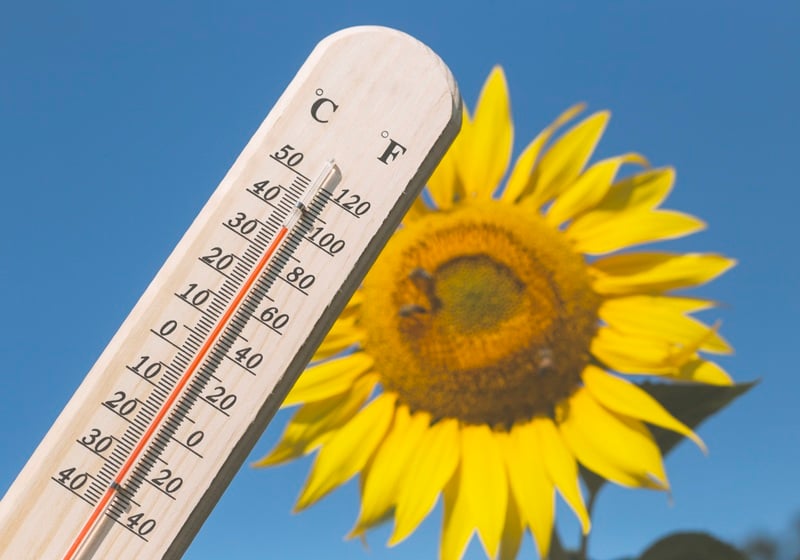 Imagem da notícia Setembro começa com aumento do calor no Brasil
