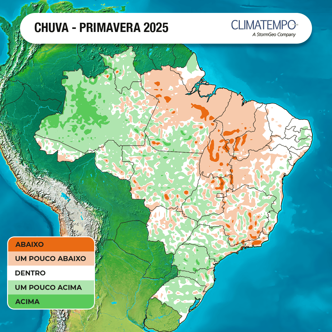 Chuva, primavera, calor