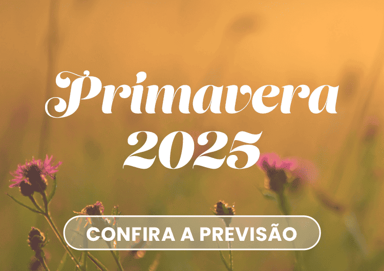A estação começa no dia 22 de setembro, às 15h19, pelo horário de Brasília. A expectativa para a primavera deste ano é de chuva e calor um pouco acima do normal para a maioria das áreas do Brasil