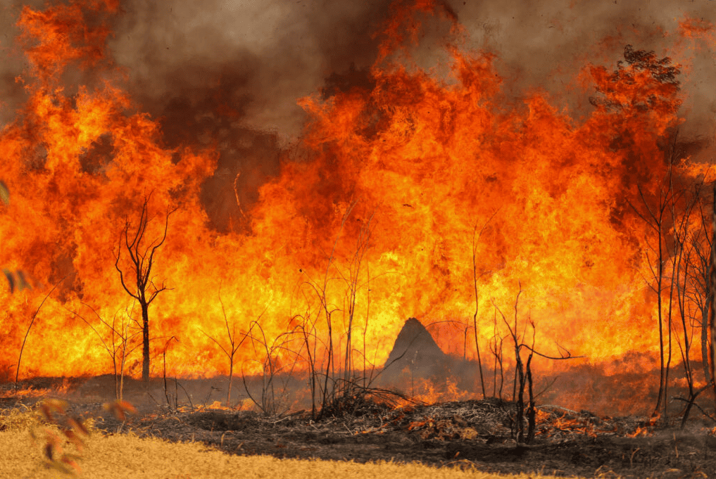 Imagem da notícia Calor intenso e tempo seco aumentam risco de queimadas em setembro