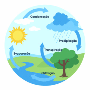 Infográfico do ciclo da água mostrando evaporação, condensação, precipitação, infiltração e transpiração.