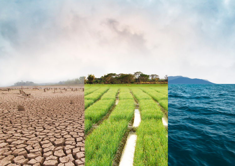Risco climático já influencia investimentos, operações e lucros das empresas no Brasil