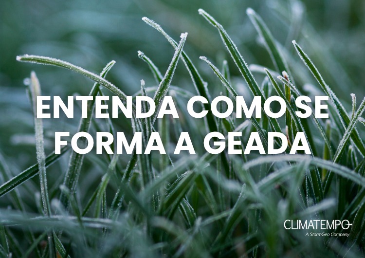 Geada: entenda como o fenômeno se forma