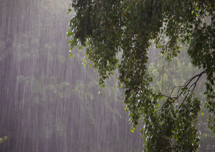 Norte tem chuva intensa em áreas do Amazonas, Roraima e Amapá