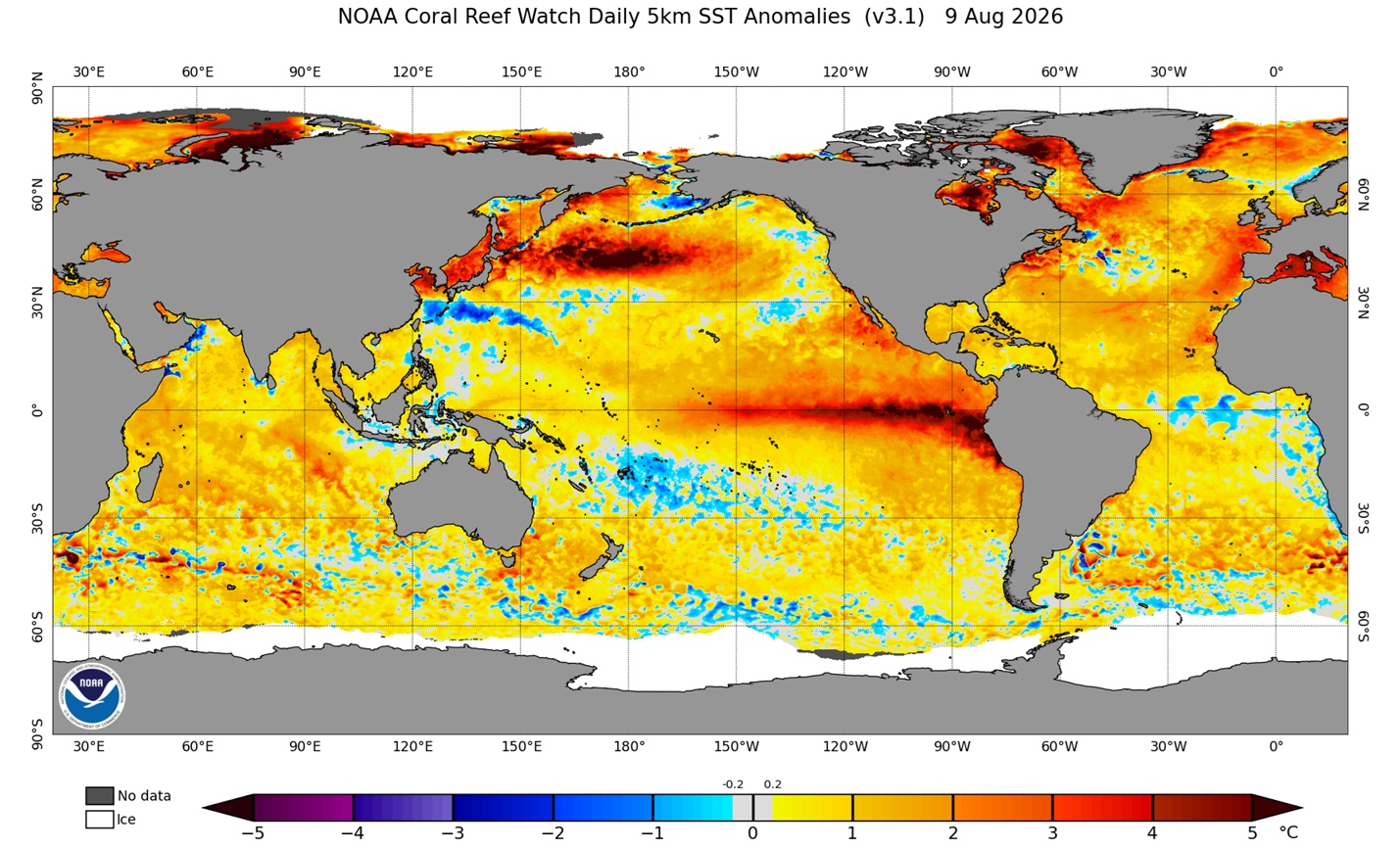 El Niño já está forte e deve se intensificar nos próximos meses