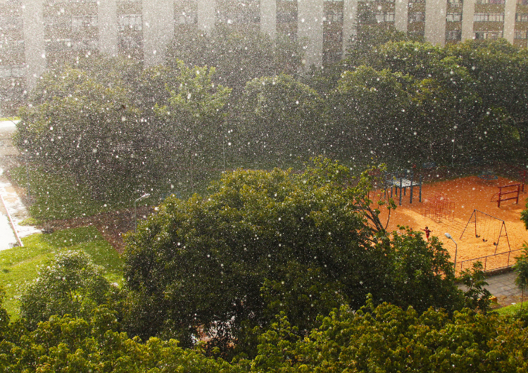 Distrito Federal volta a ter risco de chuva forte nesta quarta-feira (23)