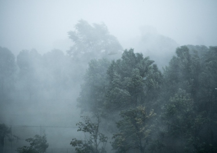 Chuva volta à Região Sul a partir de quarta-feira (21). Paraná e Rio Grande do Sul terão maior atenção para temporais na quinta-feira (22).